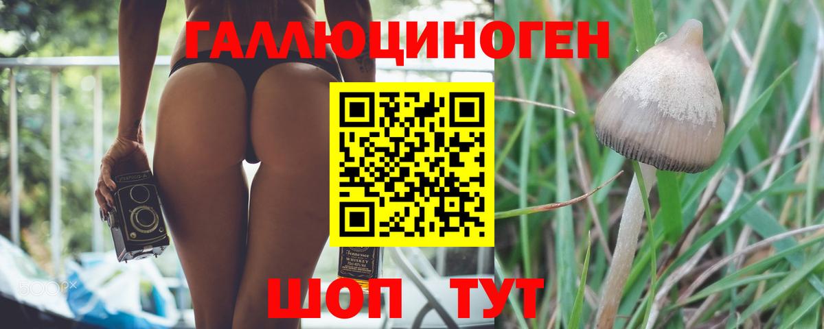 Псилоцибиновые грибы прущие грибы Кирово-Чепецк